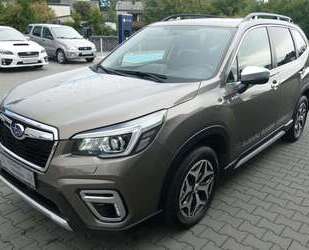 Subaru Forester Gebrauchtwagen