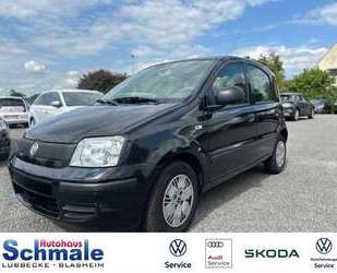 Fiat Panda Gebrauchtwagen
