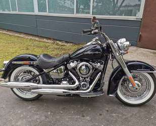Harley Davidson Softail Gebrauchtwagen