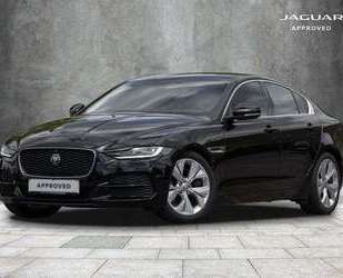 Jaguar XE Gebrauchtwagen