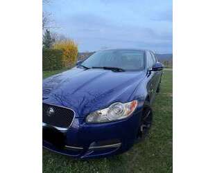Jaguar XF Gebrauchtwagen