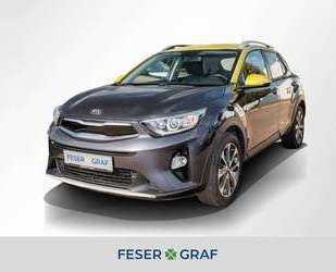 Kia Stonic Gebrauchtwagen
