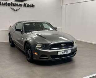 Ford Mustang Gebrauchtwagen