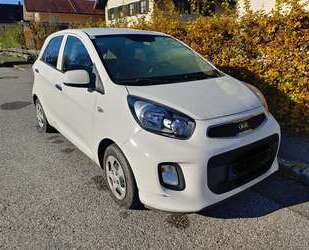 Kia Picanto Gebrauchtwagen