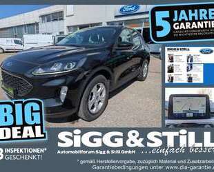 Ford Kuga Gebrauchtwagen