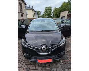 Renault Scenic Gebrauchtwagen