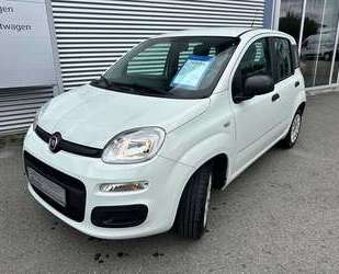 Fiat Panda Gebrauchtwagen