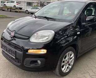 Fiat Panda Gebrauchtwagen