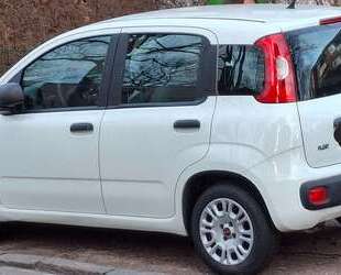 Fiat Panda Gebrauchtwagen