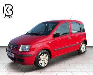 Fiat Panda Gebrauchtwagen