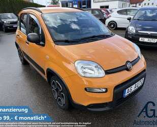 Fiat Panda Gebrauchtwagen