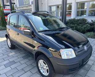 Fiat Panda Gebrauchtwagen