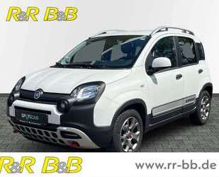 Fiat Panda Gebrauchtwagen