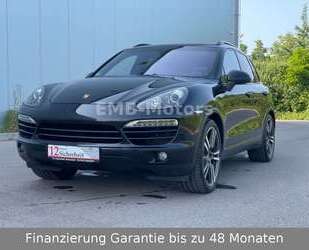 Mini Cayenne 
