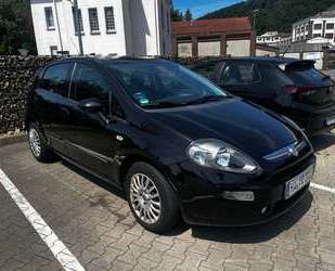 Fiat Punto Gebrauchtwagen