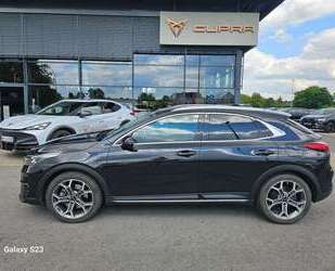 Kia XCeed Gebrauchtwagen