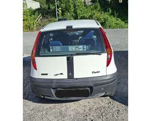 Fiat Punto Gebrauchtwagen