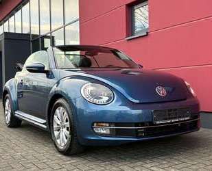 VW New Beetle Gebrauchtwagen