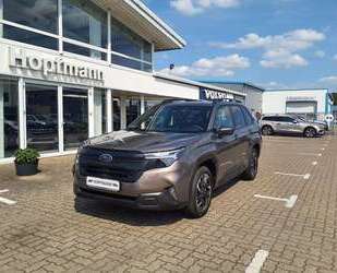 Subaru Forester Gebrauchtwagen