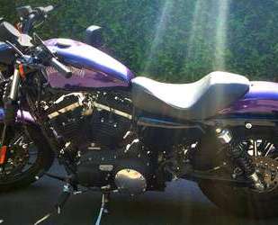 Harley Davidson Iron 883 Gebrauchtwagen