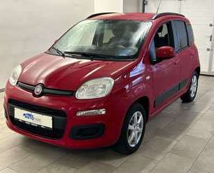 Fiat Panda Gebrauchtwagen