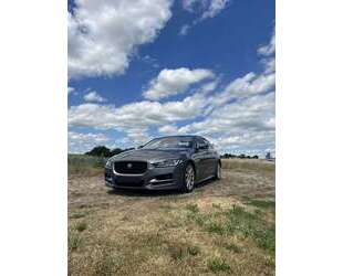 Jaguar XE Gebrauchtwagen