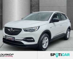 Opel Grandland X Gebrauchtwagen