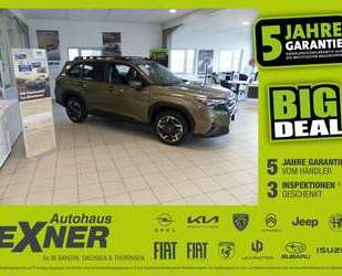 Subaru Forester Gebrauchtwagen
