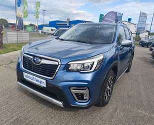 Subaru Forester Gebrauchtwagen
