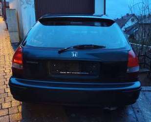 Honda Civic Gebrauchtwagen