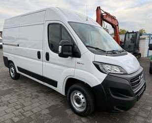 Fiat Ducato Gebrauchtwagen