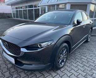 Mazda CX-30 Gebrauchtwagen