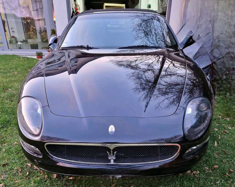 Spyder