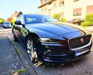 Jaguar XE Gebrauchtwagen