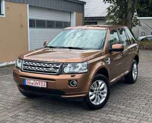 Land Rover Freelander Gebrauchtwagen
