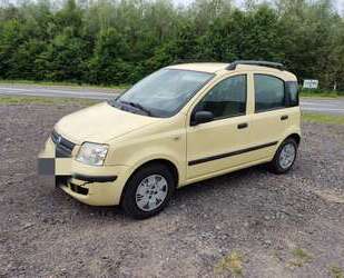 Fiat Panda Gebrauchtwagen