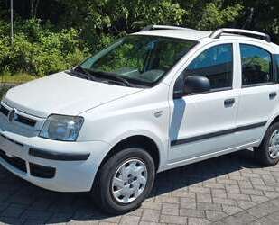 Fiat Panda Gebrauchtwagen