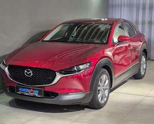 Mazda CX-30 Gebrauchtwagen