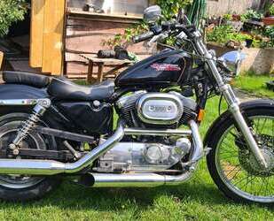 Harley Davidson Sportster 1200 Gebrauchtwagen