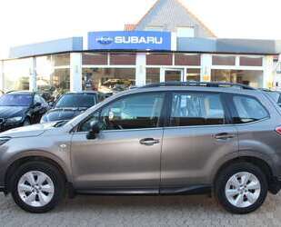 Subaru Forester Gebrauchtwagen