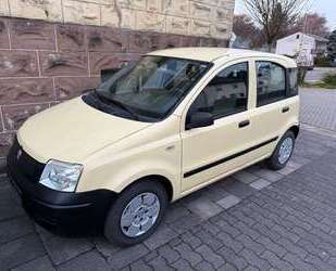 Fiat Panda Gebrauchtwagen