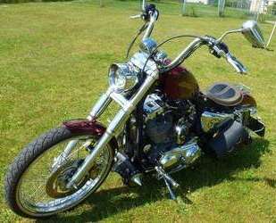 Harley Davidson 1200 Custom Gebrauchtwagen