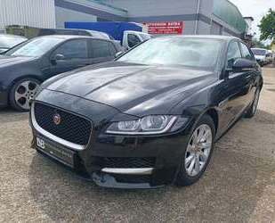 Jaguar XF Gebrauchtwagen