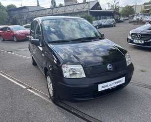 Fiat Panda Gebrauchtwagen