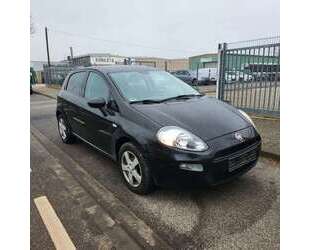 Fiat Punto Gebrauchtwagen