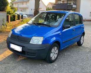Fiat Panda Gebrauchtwagen