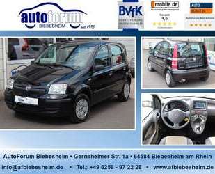 Fiat Panda Gebrauchtwagen