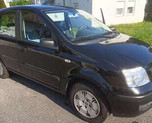 Fiat Panda Gebrauchtwagen