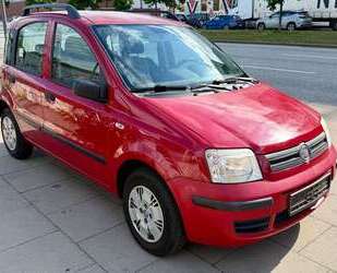 Fiat Panda Gebrauchtwagen