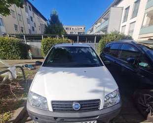 Fiat Punto Gebrauchtwagen